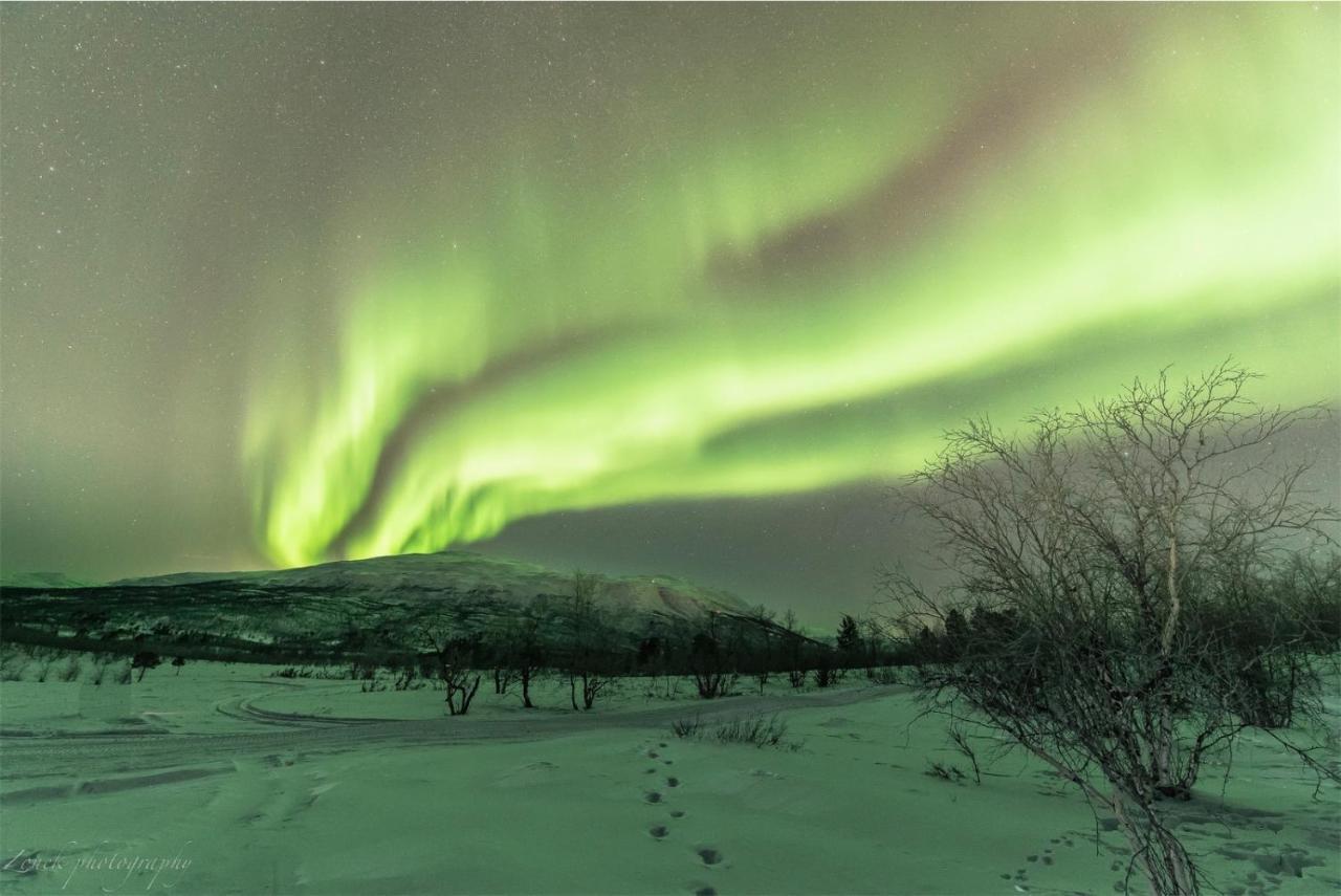 Abisko Guesthouse & Activities Exterior foto